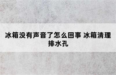 冰箱没有声音了怎么回事 冰箱清理排水孔